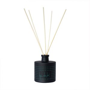 Fragrance Sticks BEN DE LISI Silver Wood 100ml